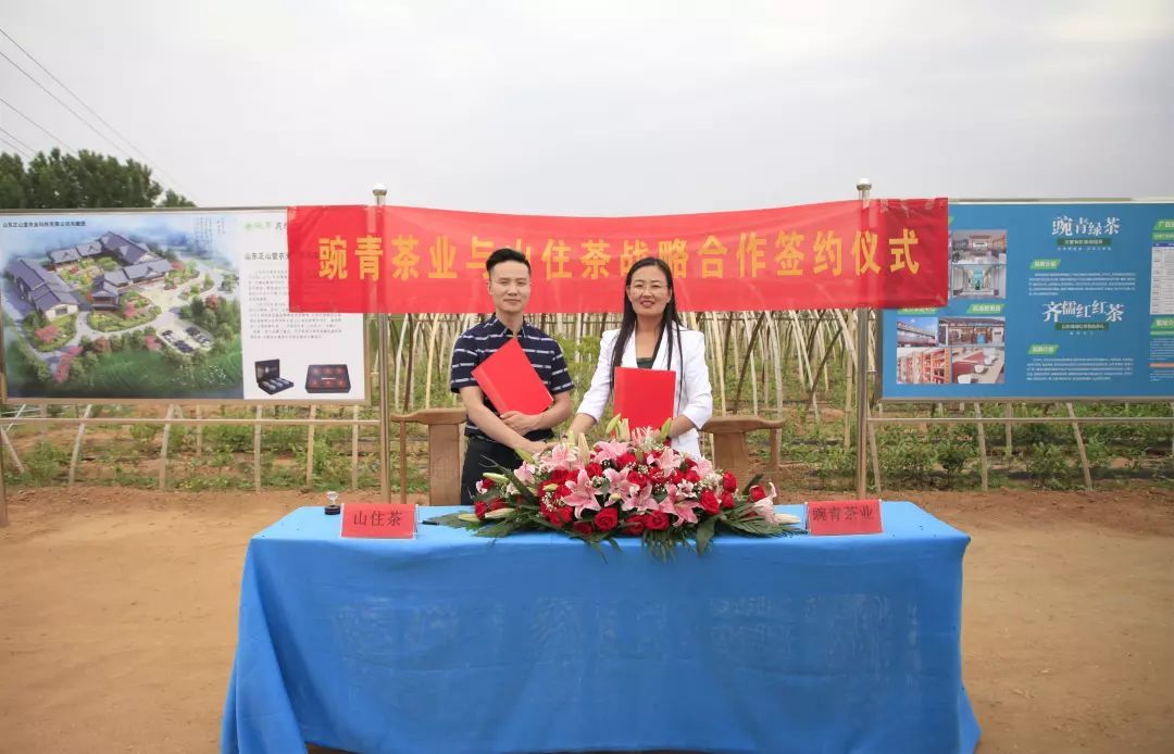 喜訊丨山住茶與豌青茶業，簽署戰略合作協議