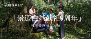 山住茶|北緯22°東經100°景邁白茶獻禮9周年