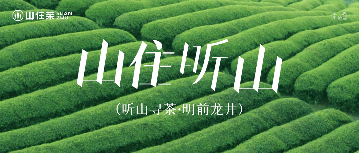 2025聽山尋茶｜地理標志認證，浙江越州·龍井